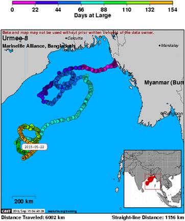 Marine Life Alliance conservation work