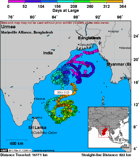 Marine Life Alliance conservation work