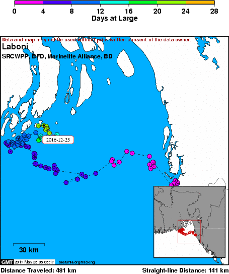 Marine Life Alliance conservation work
