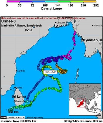 Marine Life Alliance conservation work