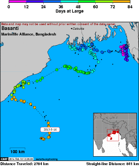 Marine Life Alliance conservation work
