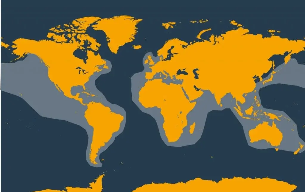 Marine Life Alliance conservation work