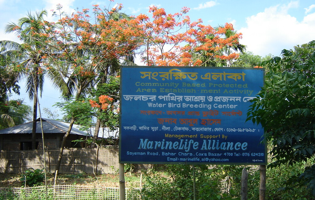 Marine Life Alliance conservation work