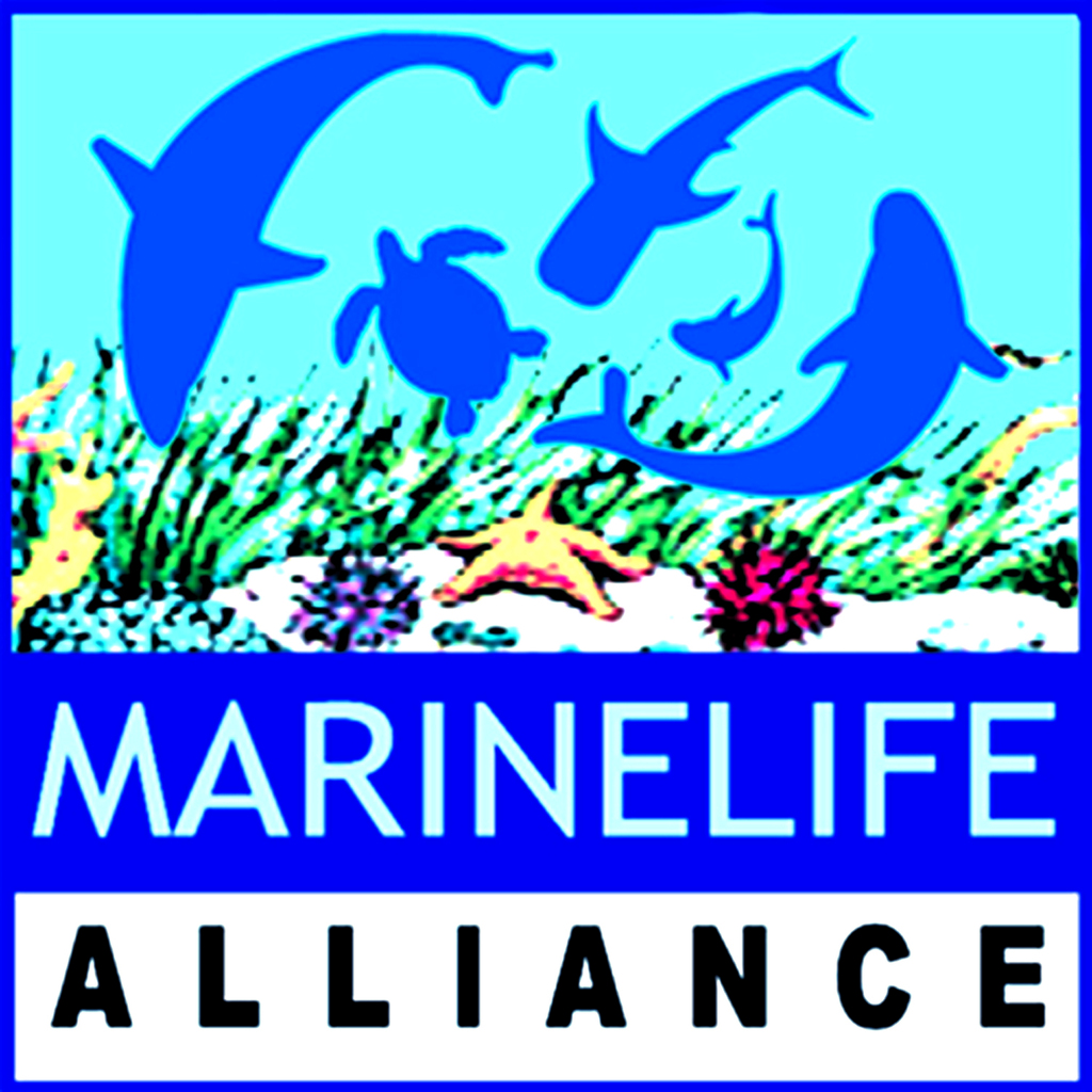 marinelife-bd.org