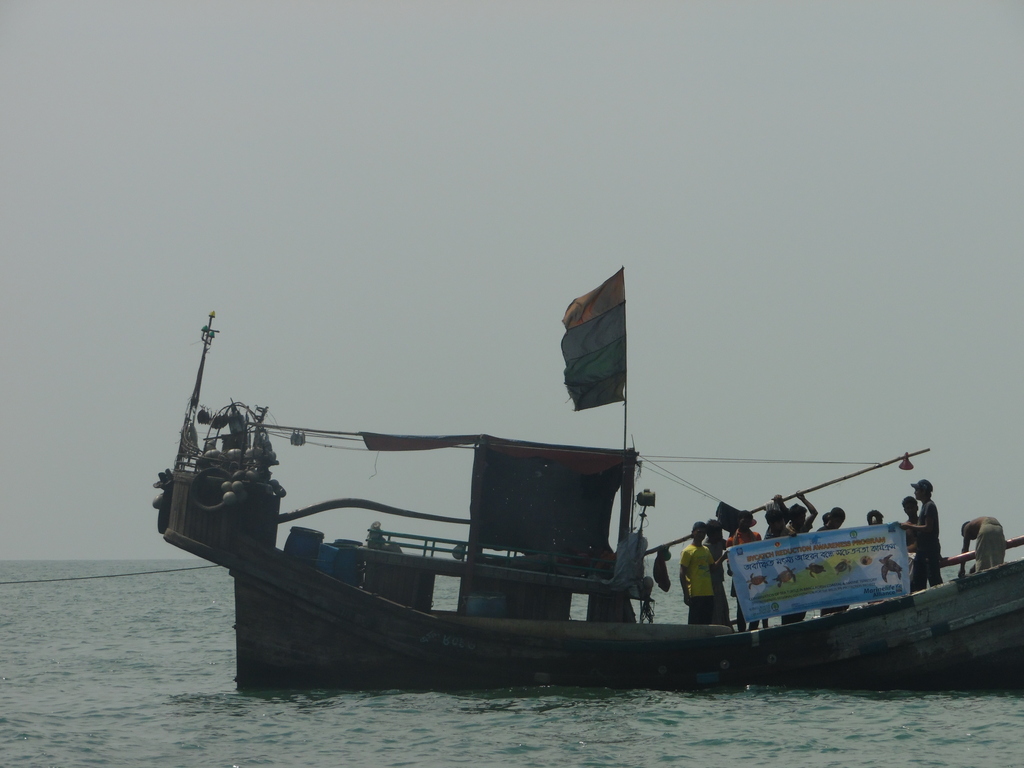 Marine Life Alliance conservation work