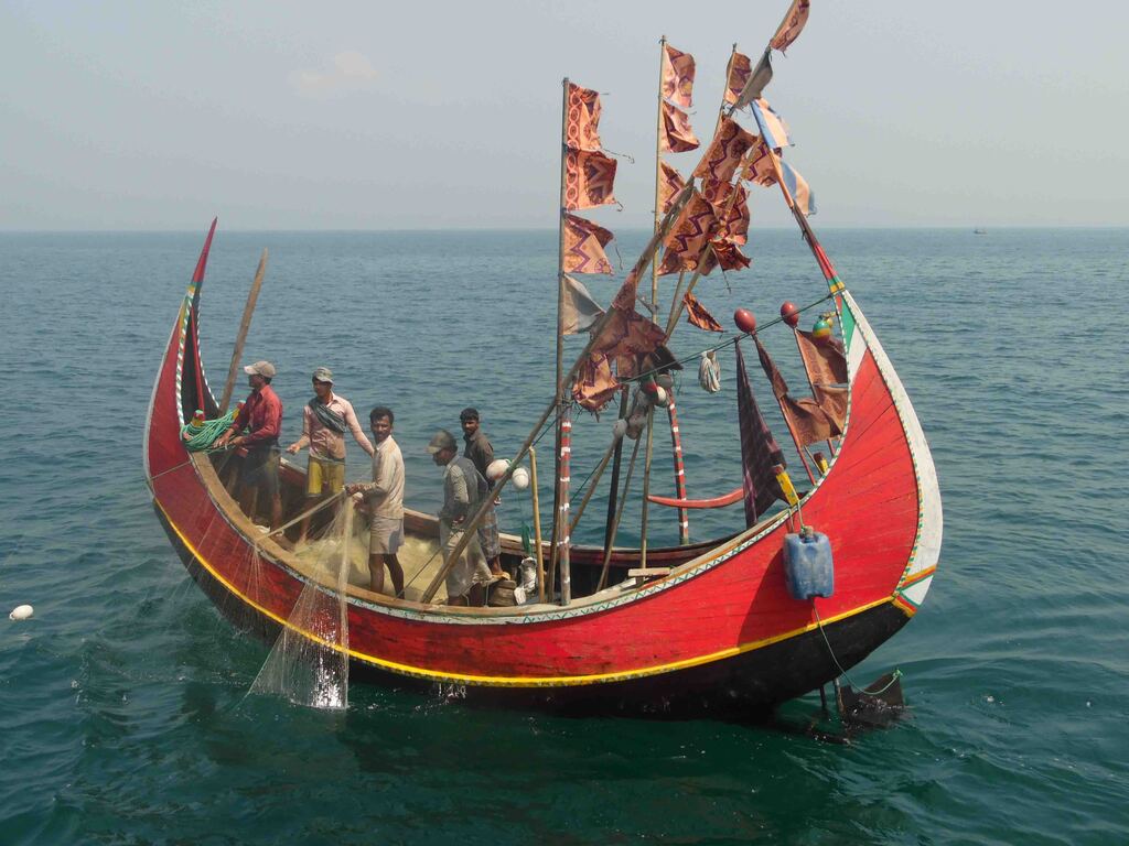 Marine Life Alliance conservation work
