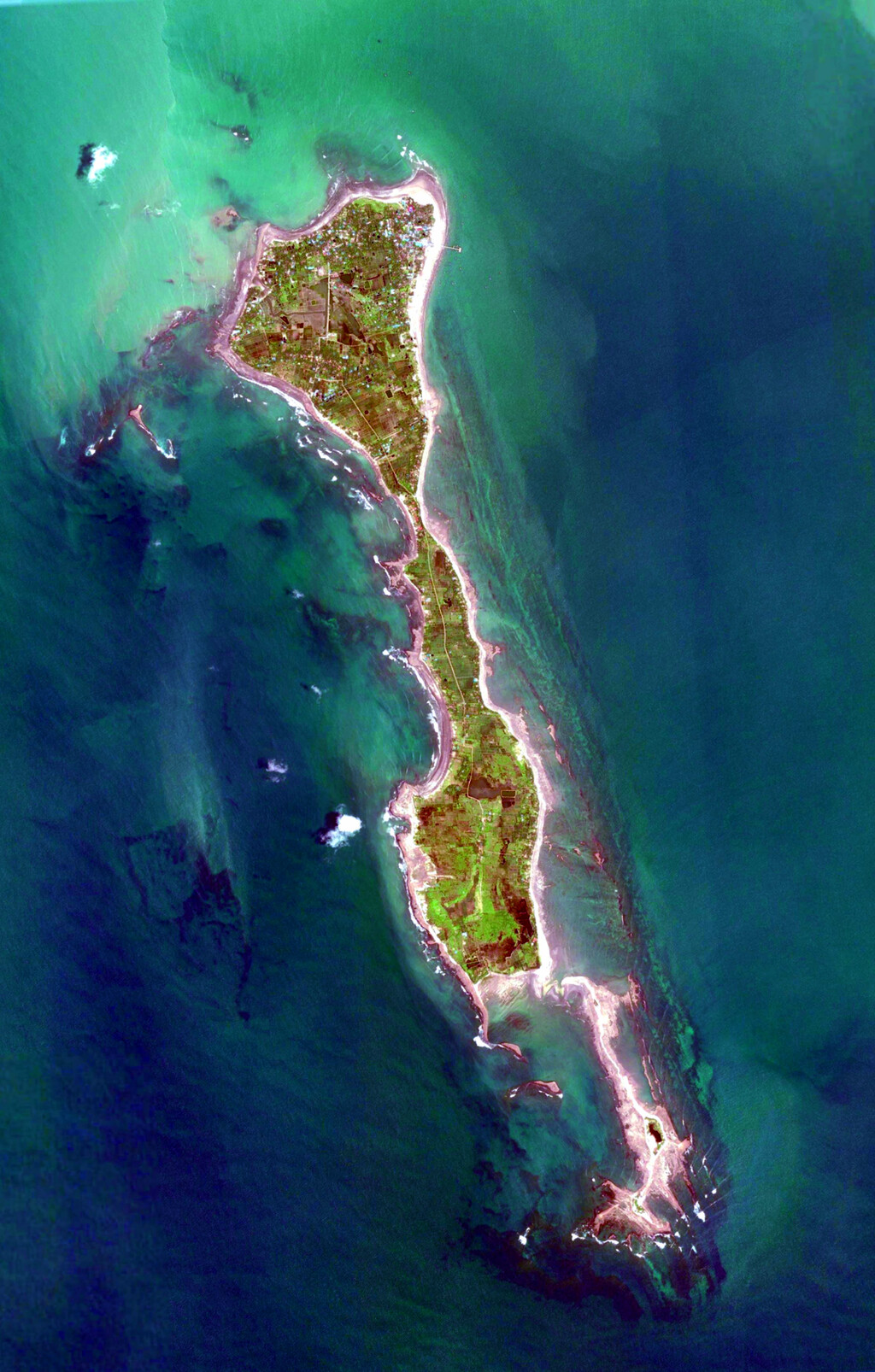 Marine Life Alliance conservation work