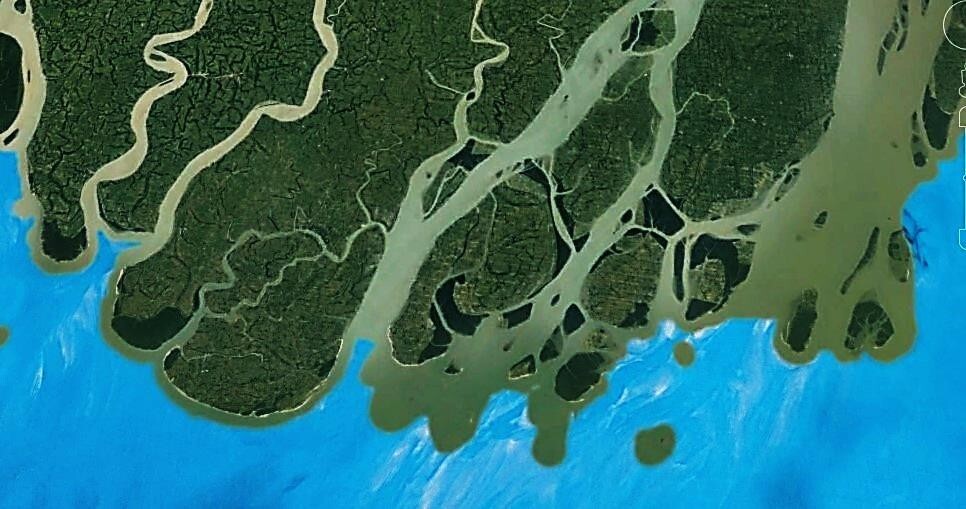Marine Life Alliance conservation work