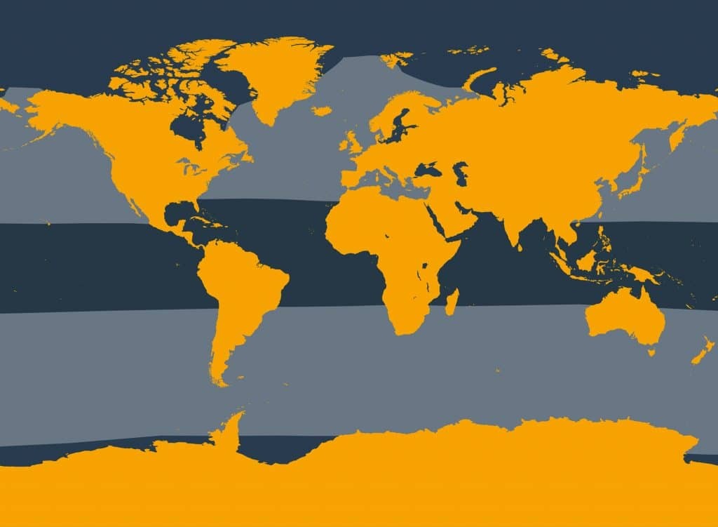 Marine Life Alliance conservation work