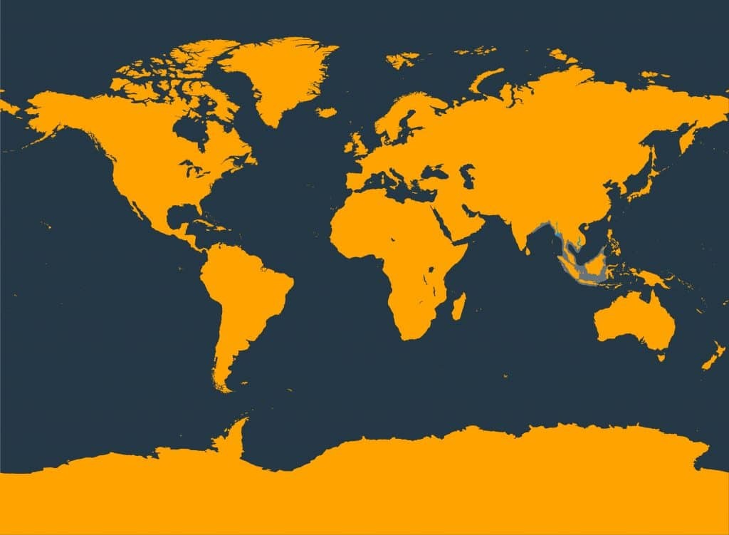 Marine Life Alliance conservation work