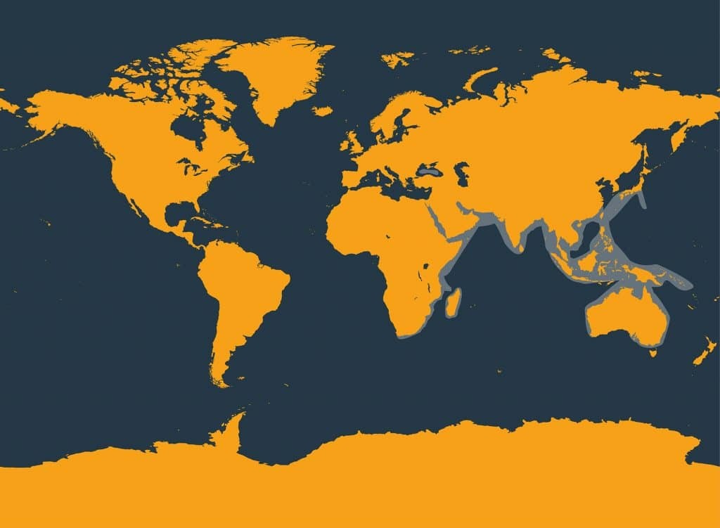 Marine Life Alliance conservation work