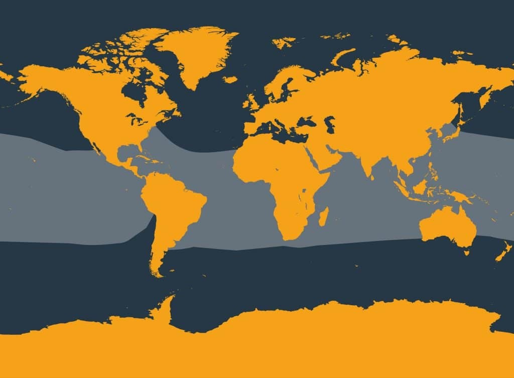 Marine Life Alliance conservation work