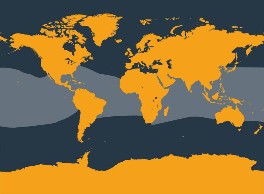 Marine Life Alliance conservation work