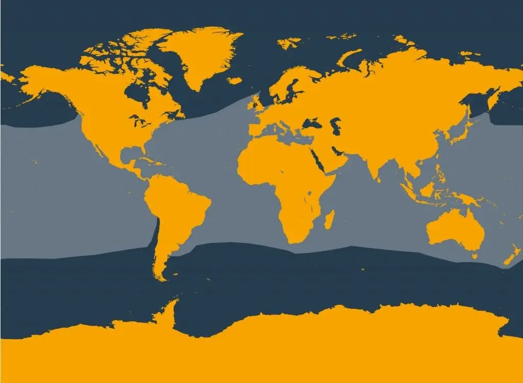 Marine Life Alliance conservation work