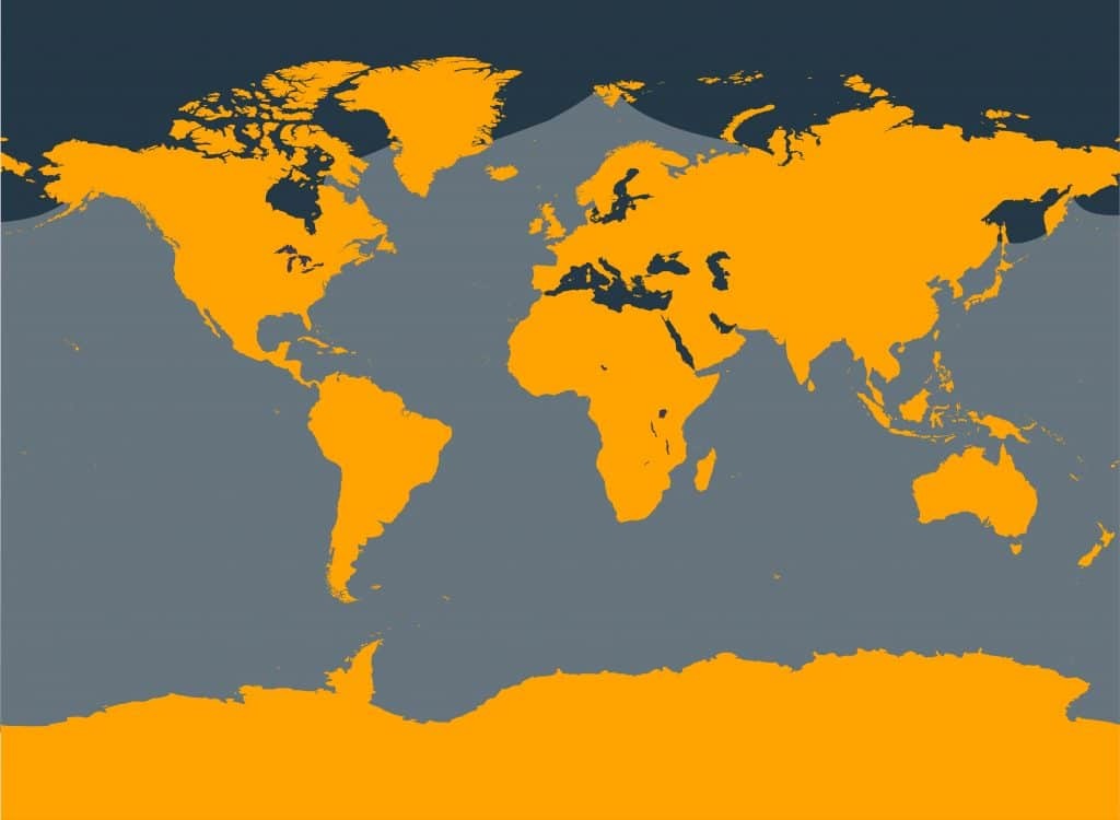 Marine Life Alliance conservation work
