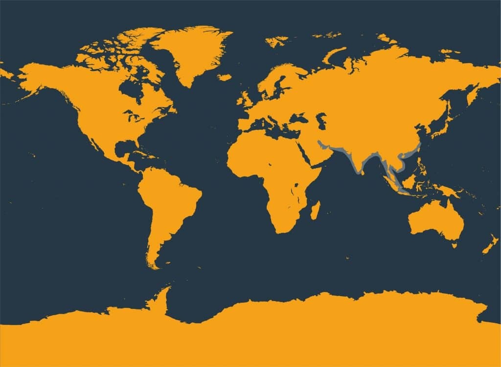 Marine Life Alliance conservation work