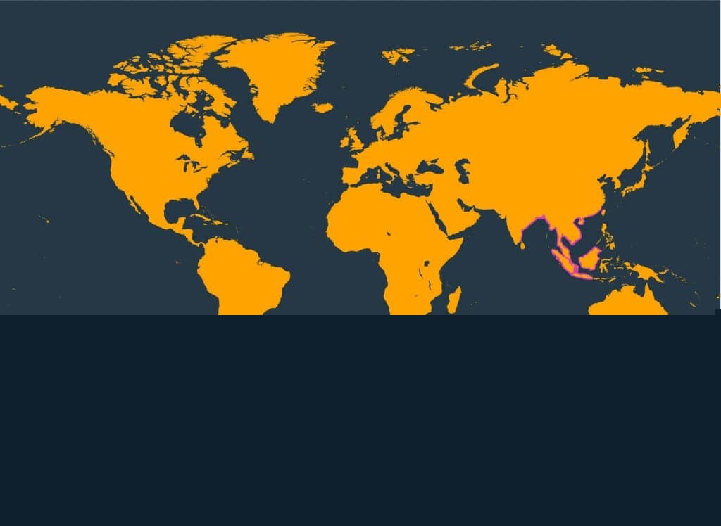 Marine Life Alliance conservation work