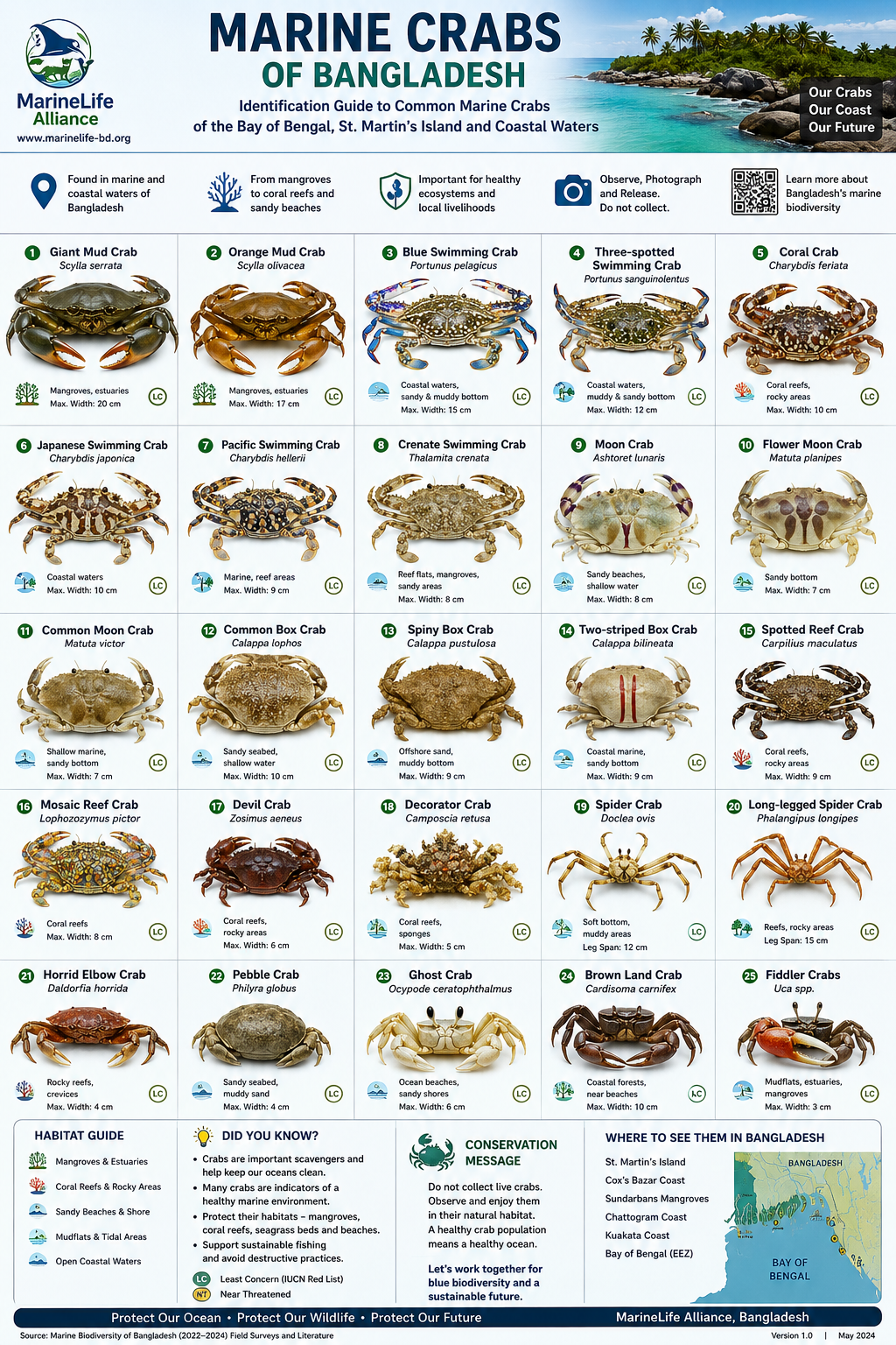 Marine Life Alliance conservation work