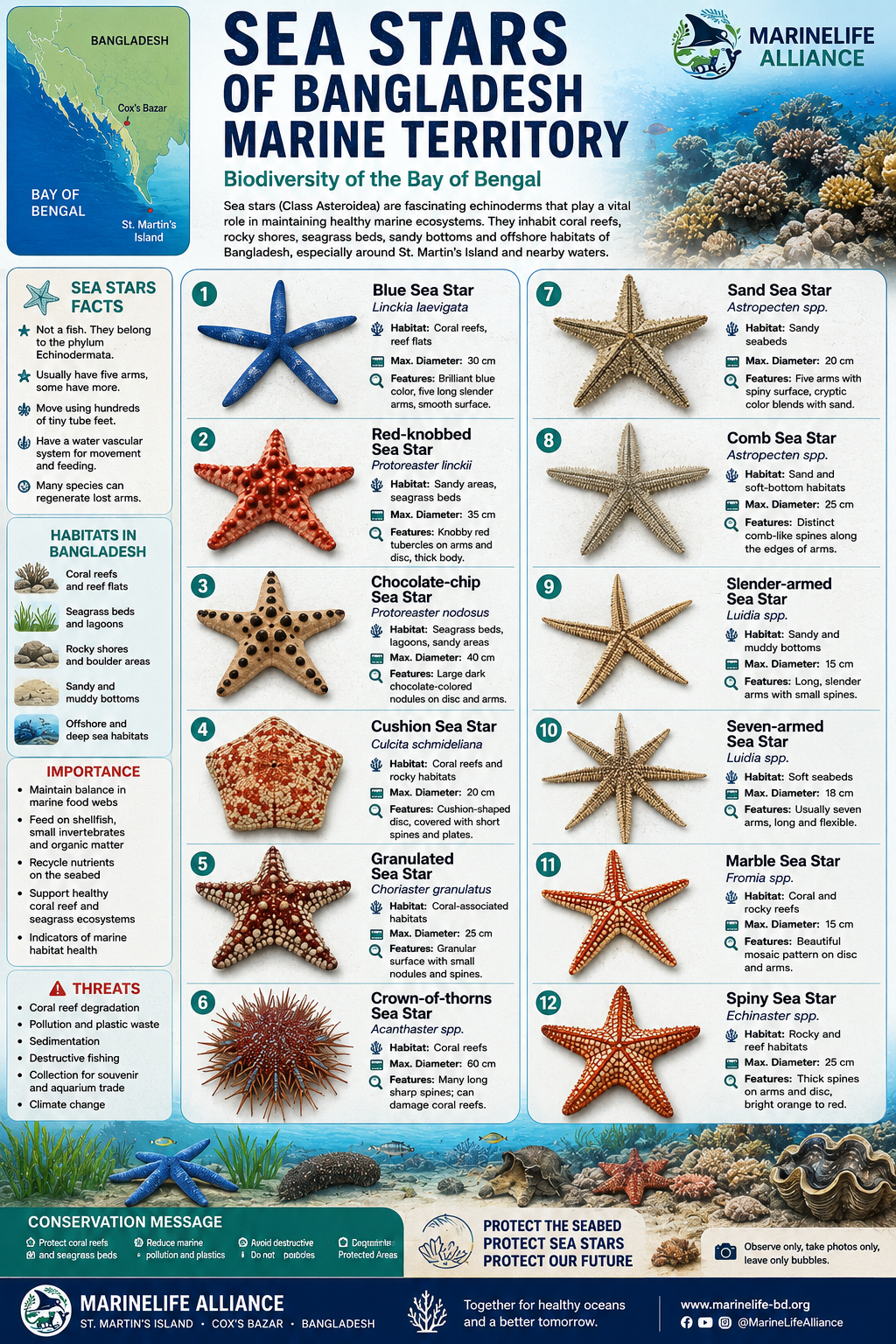 Marine Life Alliance conservation work