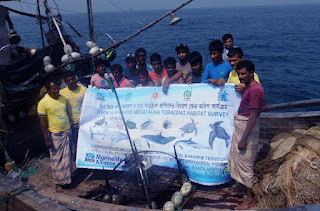 Marine Life Alliance conservation work