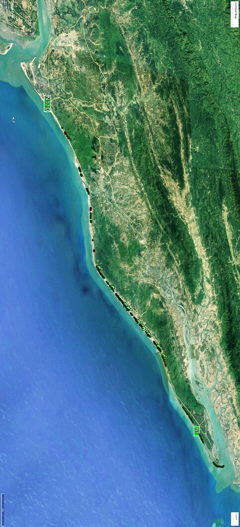 Marine Life Alliance conservation work