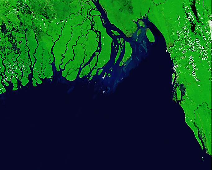 Marine Life Alliance conservation work