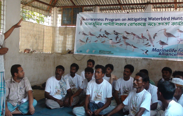 Marine Life Alliance conservation work