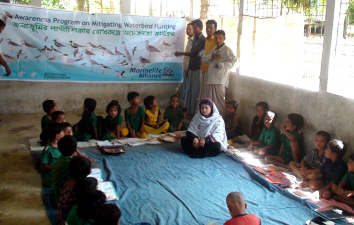 Marine Life Alliance conservation work