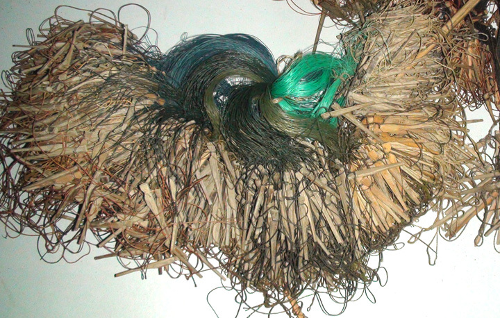 Marine Life Alliance conservation work