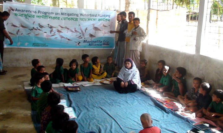 Marine Life Alliance conservation work