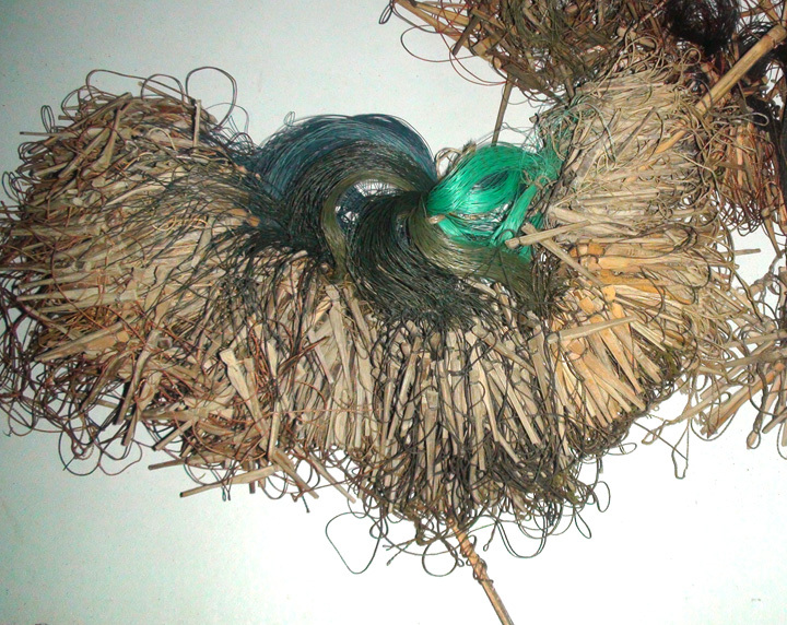 Marine Life Alliance conservation work