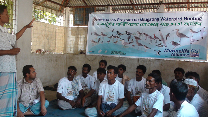 Marine Life Alliance conservation work