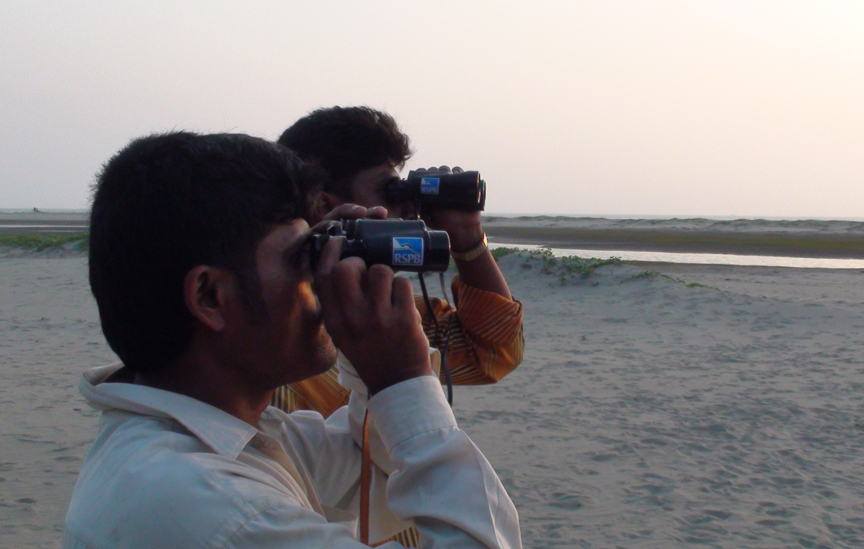 Marine Life Alliance conservation work